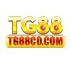 Profile (tg88cocom2)