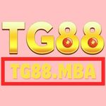 Profile (tg88mba1)