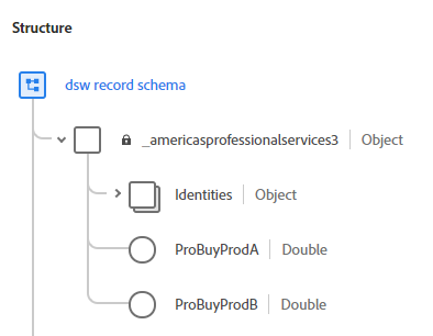 Figure 2.1: Schema saved as a record-based approach.