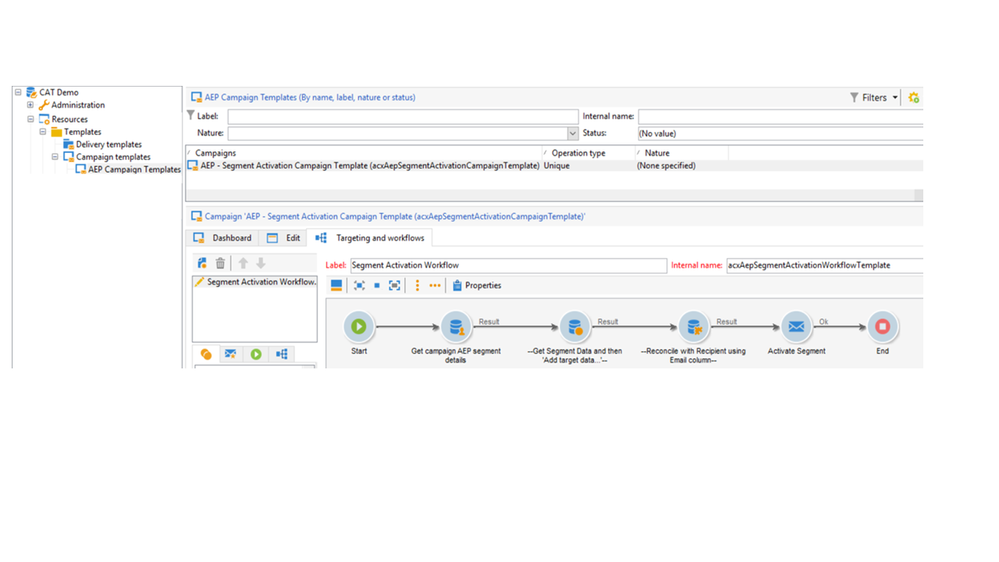 Figure 5: Segment activation campaign template.