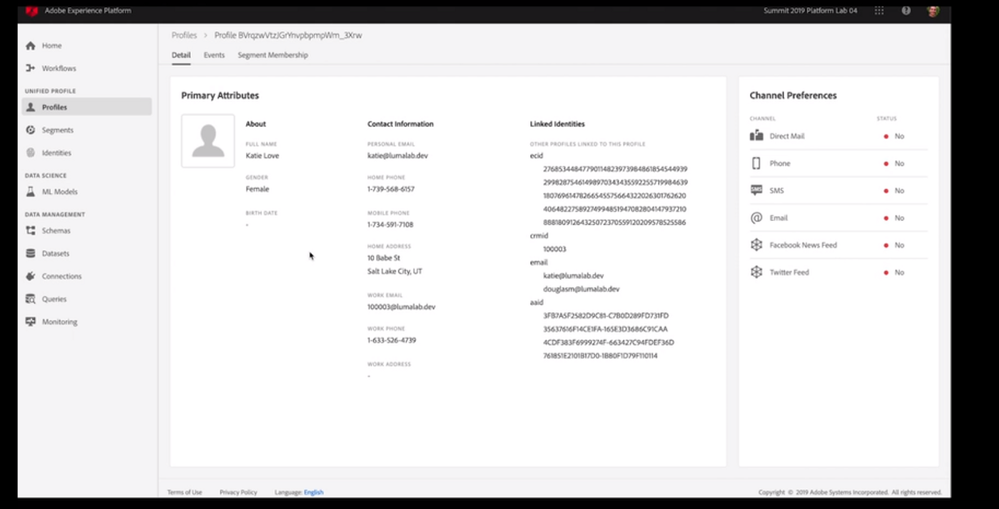 Figure 4. Example of an Adobe Experience Platform Real-Time Unified Profile created with Identity Service containing both standard namespaces and custom namespaces linked to the individual customer.