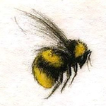 TheLittleBee