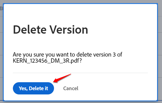 Delete a Version.png