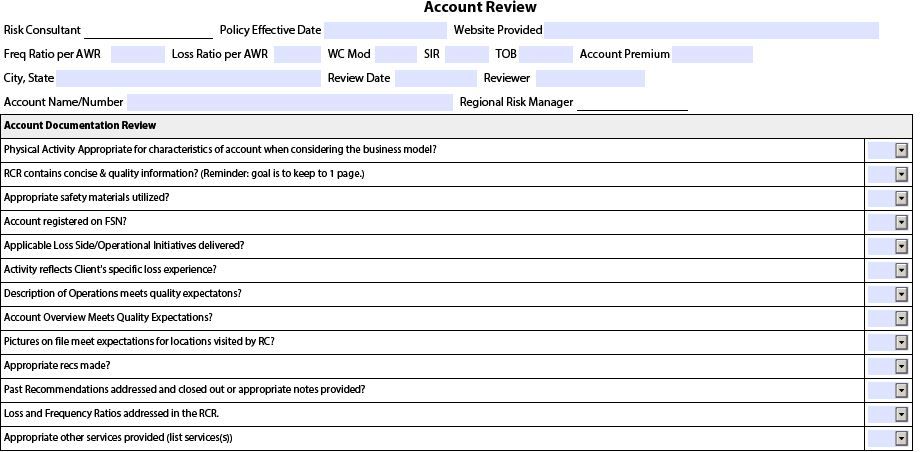 AccountReviewWorksheet.JPG