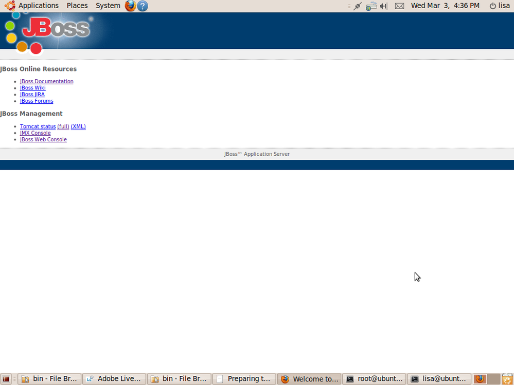 Screenshot-Welcome to JBoss™ - Mozilla Firefox-1.png