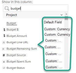 Custom and Default Fields.jpg