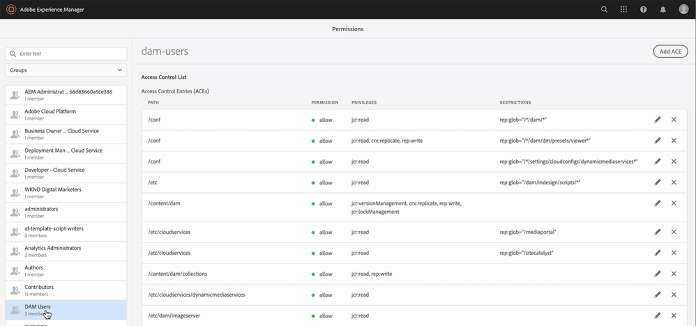 DAM user permission