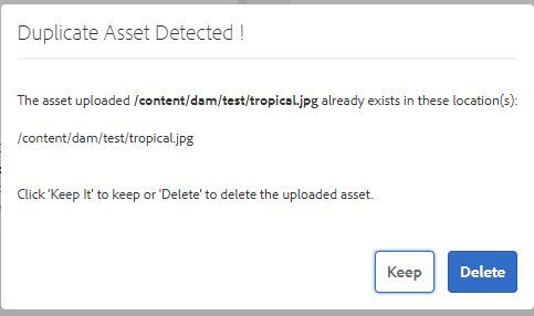duplicate_asset_detected.JPG