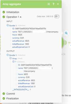 Elli_Iko_1-1690542205419.png