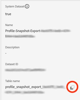 Dataset_Table_Name.png