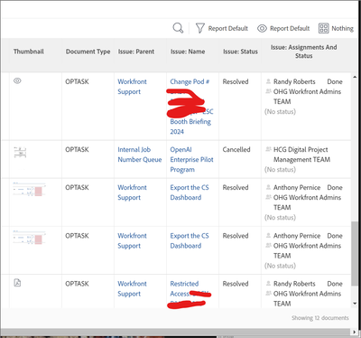 Doc issue assignee status.png