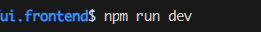 run-npm-dev.png