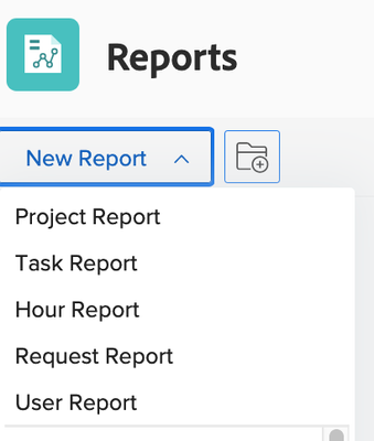 Report Options.png