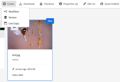 Screenshot 2025-06-02 at 11.33.34 AM.png