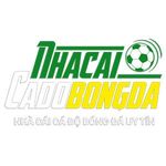 trang_cá_độbó