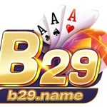 b29name