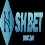 logo_shbet 500.500.jpg
