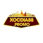 Profile (xocdia88promo)