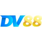 Profile (dv88codes)