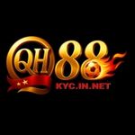 Profile (QH88)