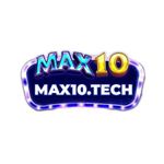 Profile (max10techh)