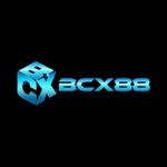Profile (bcx88gbccn)
