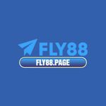 Profile (FLY88PA)