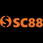 Profile (SC88nh)