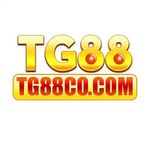 Profile (tg88cocom)