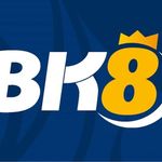 Profile (bk8vncncom)