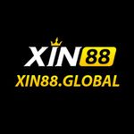Profile (xin88global1)