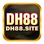 Profile (DH88si)